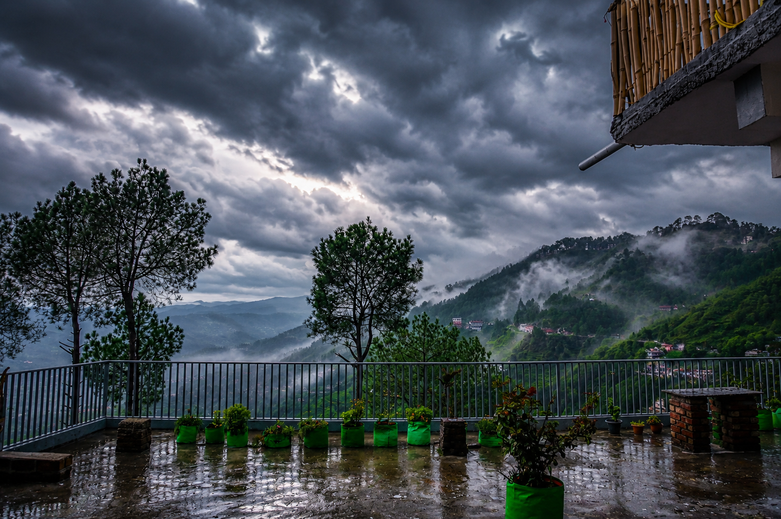 Mist rolling over the pine ridge, seen from the Pai Laag terrace